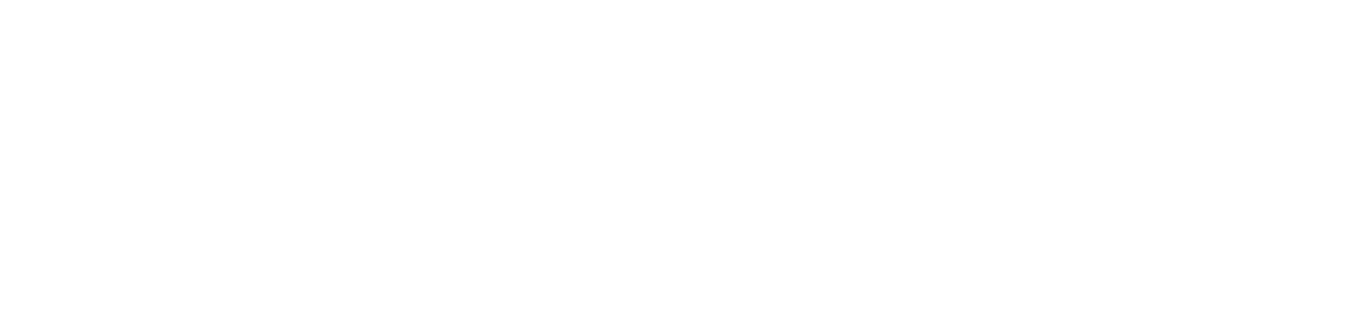 Konsigna